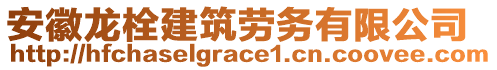 安徽龙栓建筑劳务有限公司