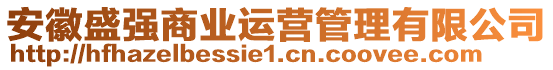 安徽盛強(qiáng)商業(yè)運(yùn)營管理有限公司