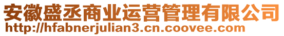 安徽盛丞商業(yè)運(yùn)營(yíng)管理有限公司