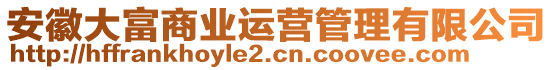 安徽大富商业运营管理有限公司