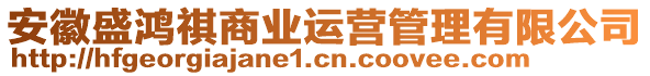 安徽盛鴻祺商業(yè)運(yùn)營(yíng)管理有限公司