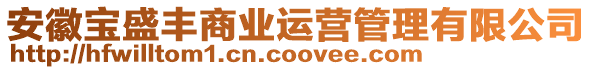 安徽寶盛豐商業(yè)運(yùn)營管理有限公司