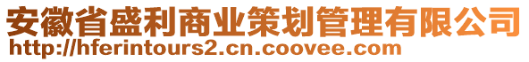 安徽省盛利商業(yè)策劃管理有限公司