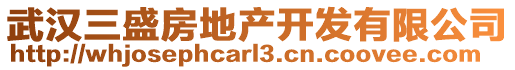 武漢三盛房地產(chǎn)開發(fā)有限公司