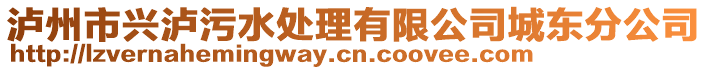 瀘州市興瀘污水處理有限公司城東分公司