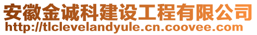 安徽金誠科建設工程有限公司