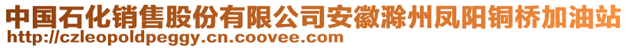 中国石化销售股份有限公司安徽滁州凤阳铜桥加油站