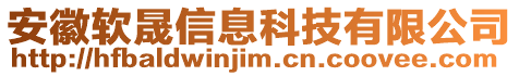 安徽軟晟信息科技有限公司