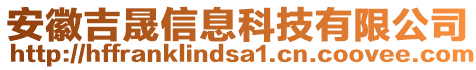 安徽吉晟信息科技有限公司