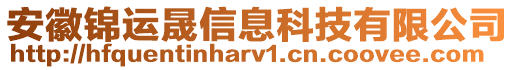 安徽锦运晟信息科技有限公司