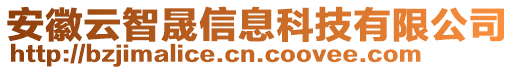 安徽云智晟信息科技有限公司