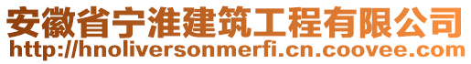 安徽省宁淮建筑工程有限公司