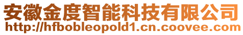 安徽金度智能科技有限公司