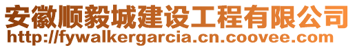 安徽順毅城建設(shè)工程有限公司