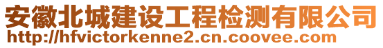 安徽北城建設工程檢測有限公司