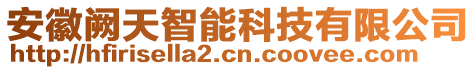 安徽闕天智能科技有限公司