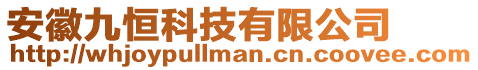 安徽九恒科技有限公司