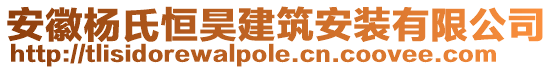 安徽楊氏恒昊建筑安裝有限公司