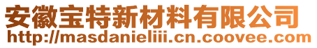 安徽寶特新材料有限公司