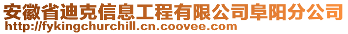 安徽省迪克信息工程有限公司阜陽分公司