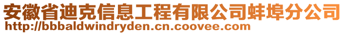 安徽省迪克信息工程有限公司蚌埠分公司