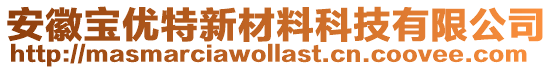 安徽寶優(yōu)特新材料科技有限公司