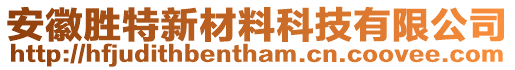 安徽勝特新材料科技有限公司