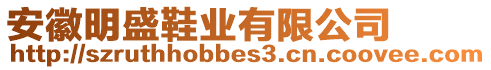 安徽明盛鞋業(yè)有限公司