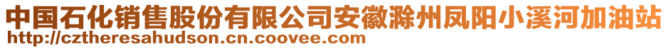 中國石化銷售股份有限公司安徽滁州鳳陽小溪河加油站