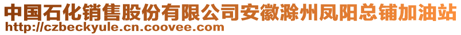 中國(guó)石化銷售股份有限公司安徽滁州鳳陽(yáng)總鋪加油站