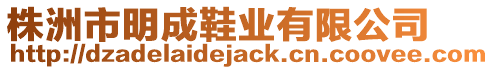 株洲市明成鞋業(yè)有限公司