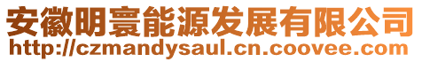 安徽明寰能源發展有限公司