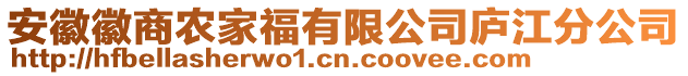 安徽徽商农家福有限公司庐江分公司