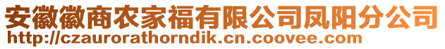 安徽徽商农家福有限公司凤阳分公司