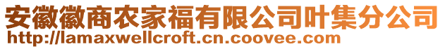 安徽徽商農(nóng)家福有限公司葉集分公司