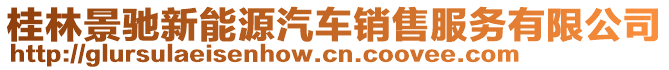 桂林景馳新能源汽車銷售服務(wù)有限公司