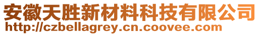 安徽天勝新材料科技有限公司