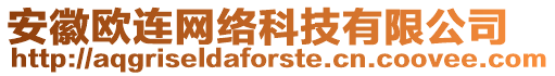 安徽歐連網(wǎng)絡(luò)科技有限公司