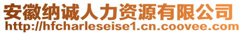 安徽納誠人力資源有限公司