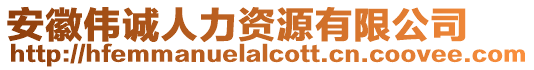 安徽偉誠人力資源有限公司