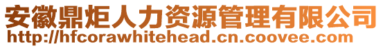 安徽鼎炬人力資源管理有限公司