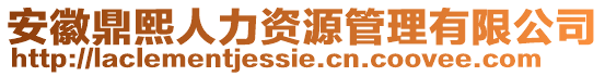 安徽鼎熙人力資源管理有限公司