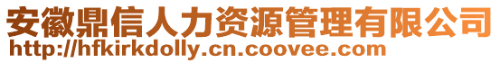 安徽鼎信人力資源管理有限公司