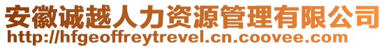 安徽誠越人力資源管理有限公司