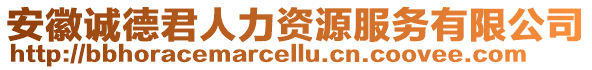 安徽誠德君人力資源服務有限公司