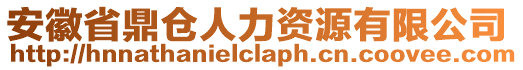 安徽省鼎倉人力資源有限公司