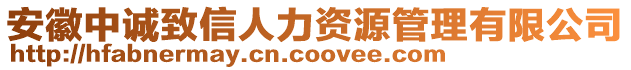 安徽中誠致信人力資源管理有限公司