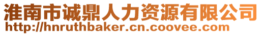 淮南市誠鼎人力資源有限公司