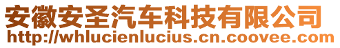 安徽安圣汽車科技有限公司