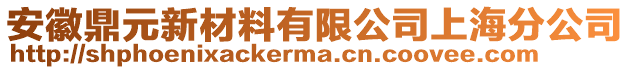 安徽鼎元新材料有限公司上海分公司